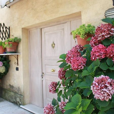 موليانو فينيتو Guest House La Marignana المظهر الخارجي الصورة