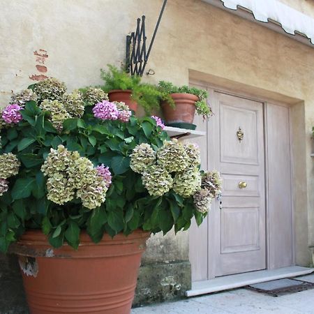 موليانو فينيتو Guest House La Marignana المظهر الخارجي الصورة